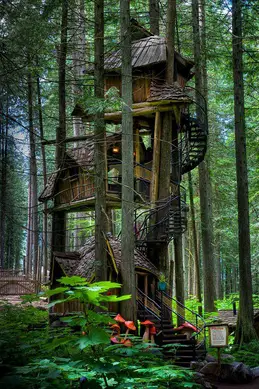 Three Story Tree House, Canada