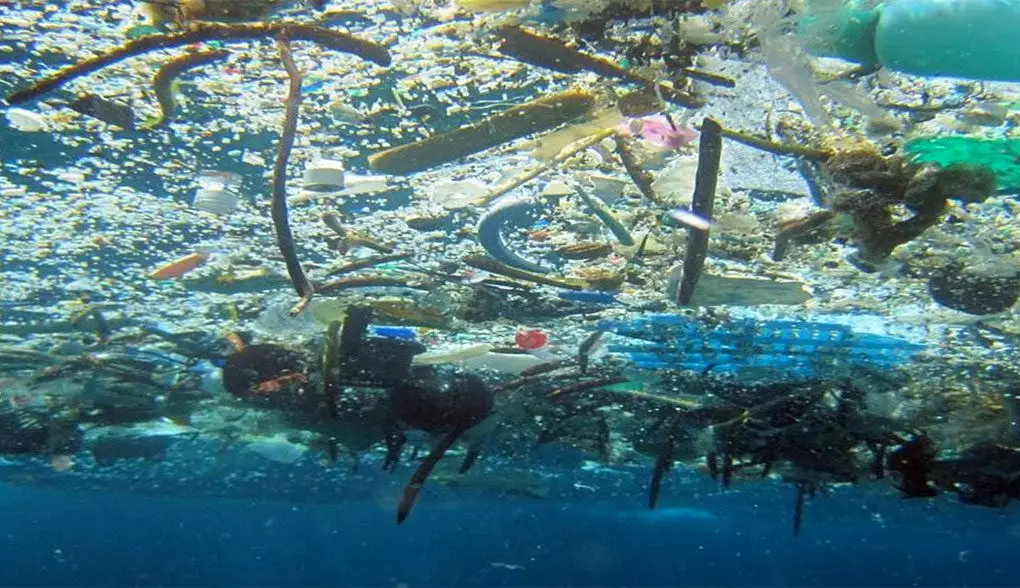 Marine Debris, photo by NOAA