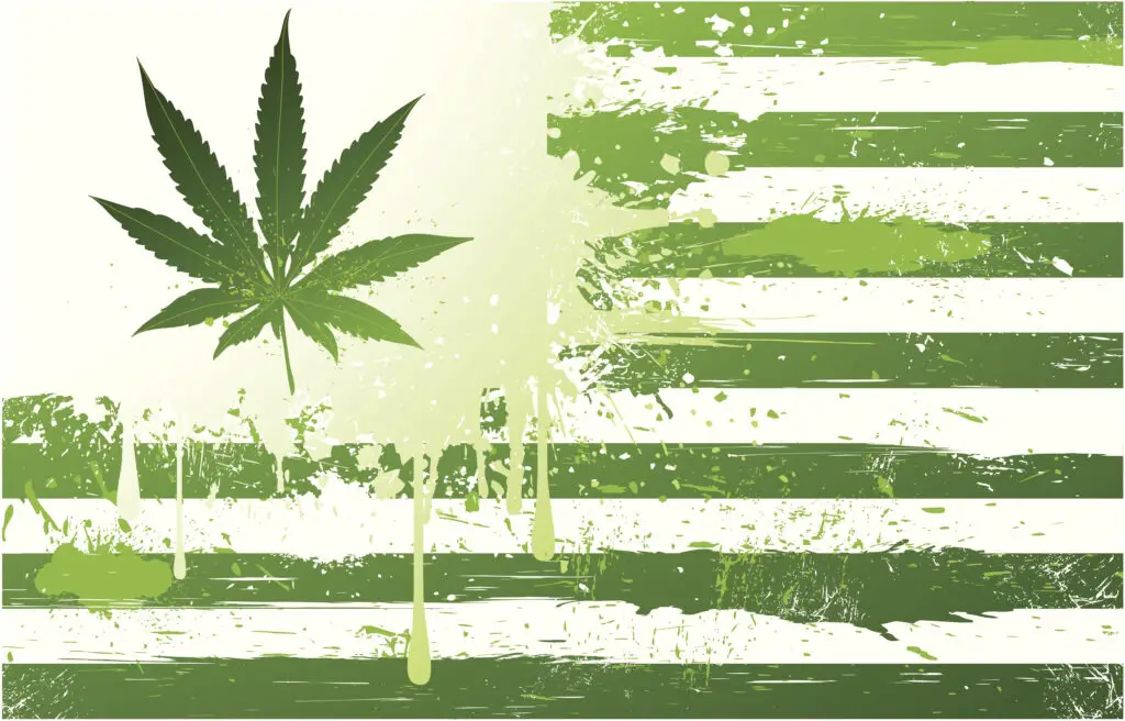 Marijuana States of America