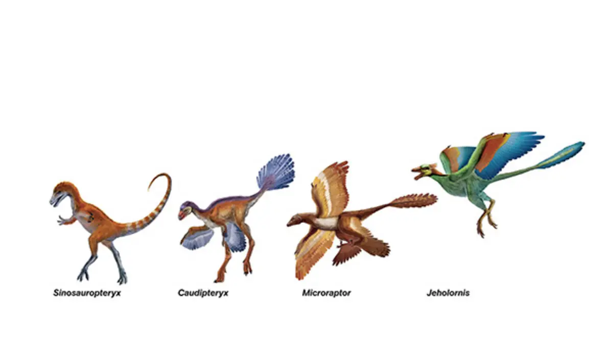 dinosaurs-that-fly-copy