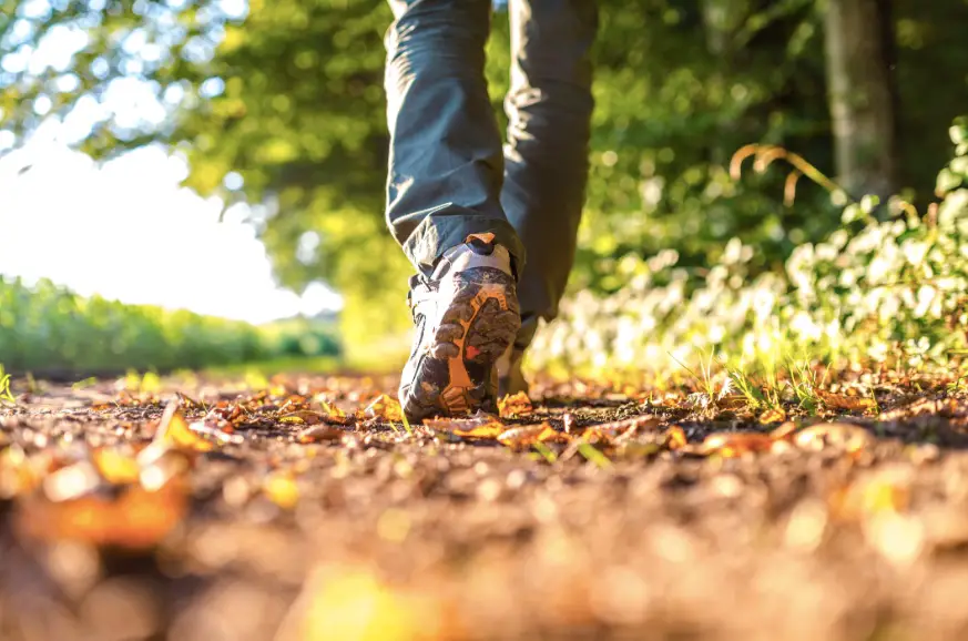 Walking Combines Time in Nature and Exercise to Clear an Anxious Mind