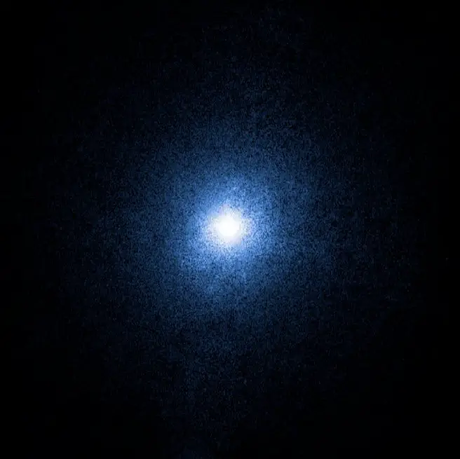 Cygnus Star