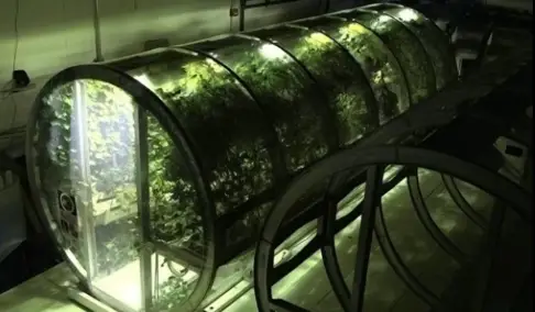 NASA's inflatable greenhouse.