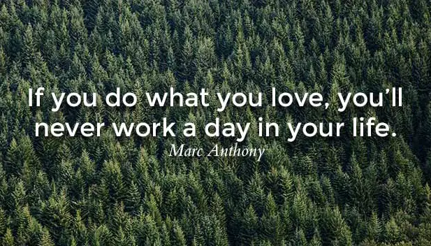 Anthony Love What You Do