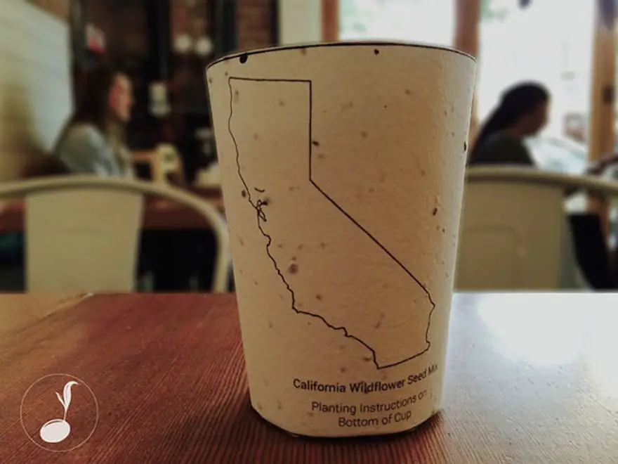 plantable coffee cups