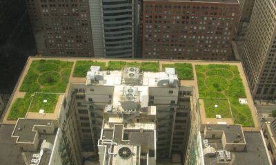 green roofs