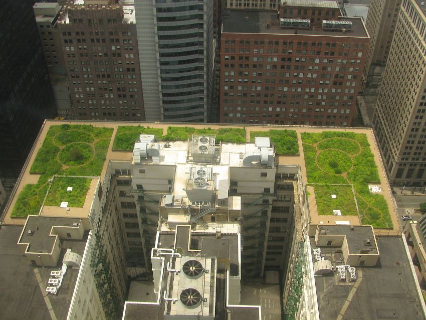 green roofs