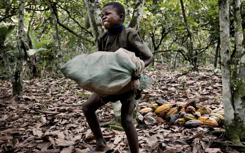 Supreme Court Former Child Slaves Used in Cocoa Production Can Sue Nestle