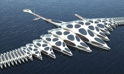 floating hotel