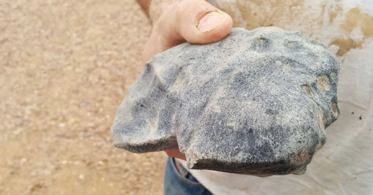 meteorite older than earth