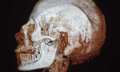 2200-Year-Old Egyptian Mummy