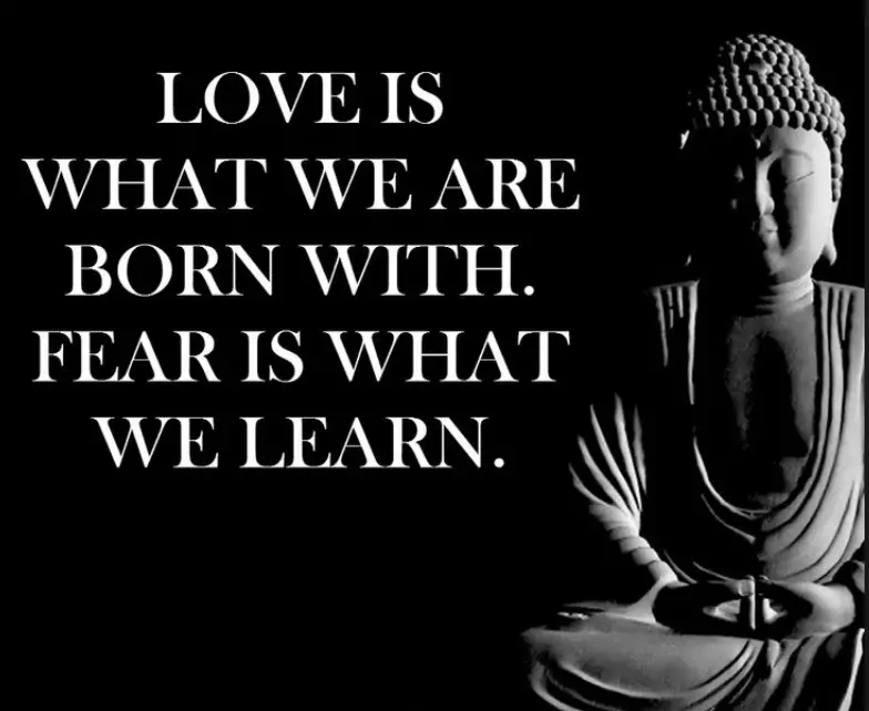 love-free-buddha-quote-copy