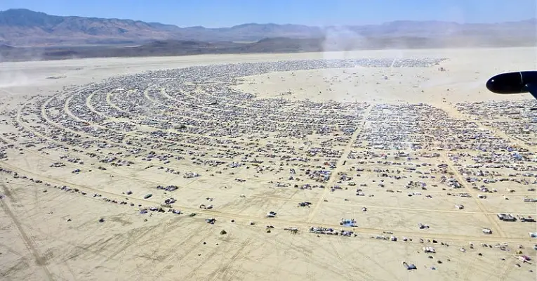 Burning Man CEO