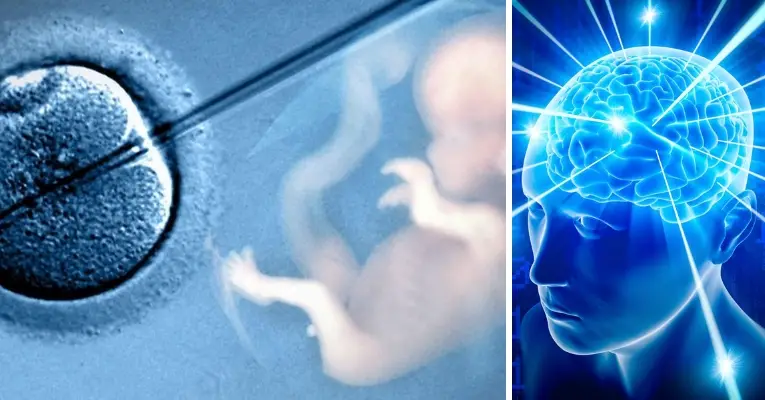 Gene-Edited Babies Intelligence