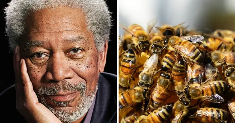 Morgan Freeman Honeybee