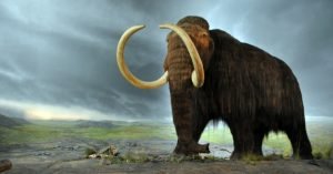 28,000-Year-Old Woolly Mammoth Cells Brought Back to Life by Scientists