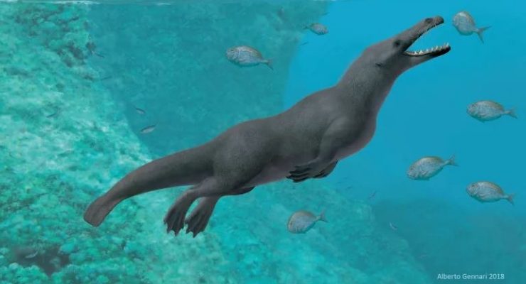 Ancient Four-Legged Whale Uncovered in Peru Walked on Land