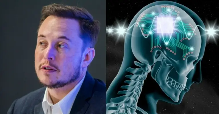 Elon Musk Brain Probes DARPA