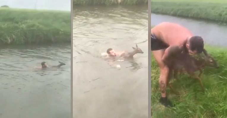 Man Strips to His Boxers and Jumps Into Freezing River to Save Drowning Deer