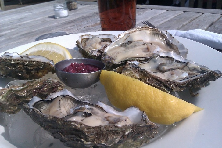 oysters food poisoning