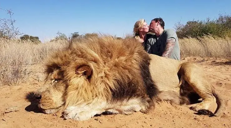 Couple Kissing After Killing Lions