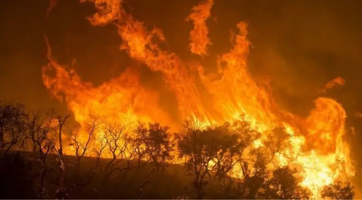 Brazil Amazon Rainforest Fires