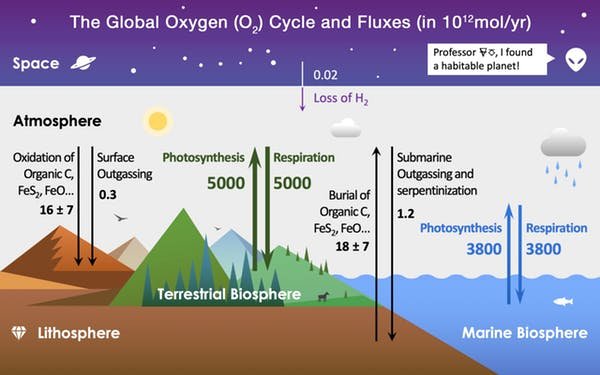 The Amazon Rainforest Fires Aren't Depleting the Earth’s Oxygen Supply