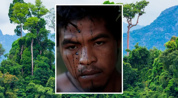 Indigenous Warrior Amazon Rainforest Illegal Loggers