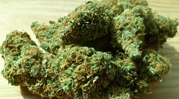 Stocks Legalize Marijuana