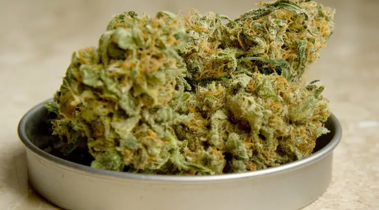 Illinois Legalizes Marijuana