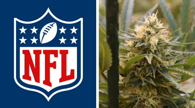 NFL Cannabis