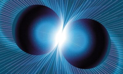 Nuclear Fusion Energy