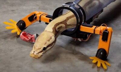 Robot Suit Snake Legs