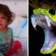 Toddler Kills Snake